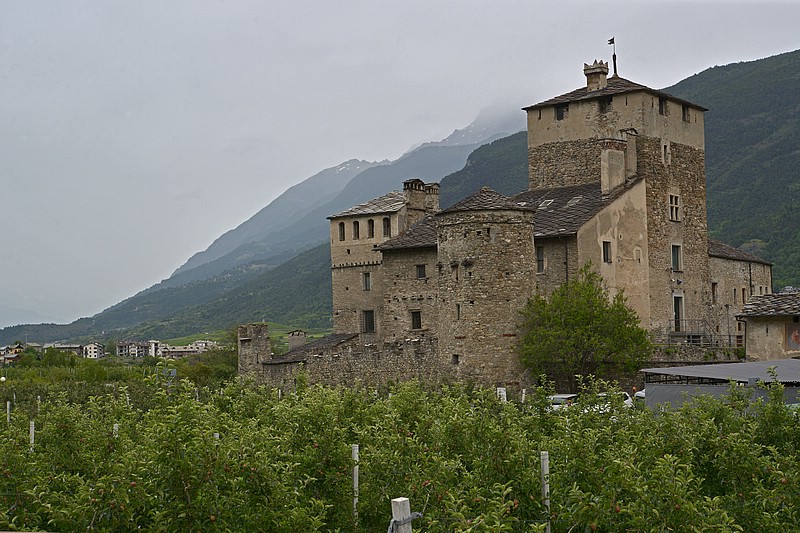 DSC_6276G.jpg