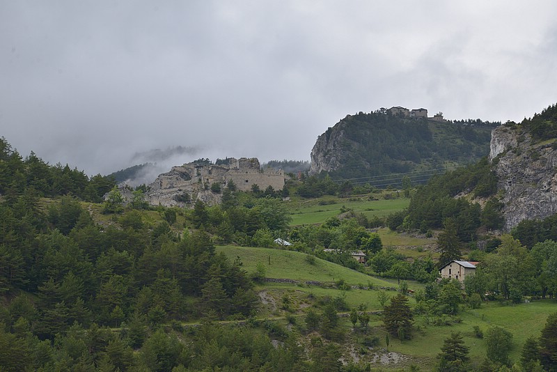DSC_6386.JPG