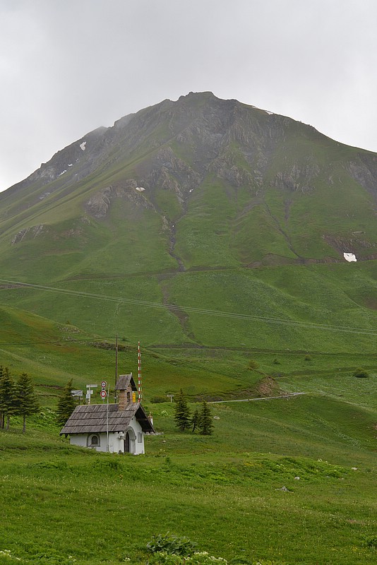 DSC_6436.JPG