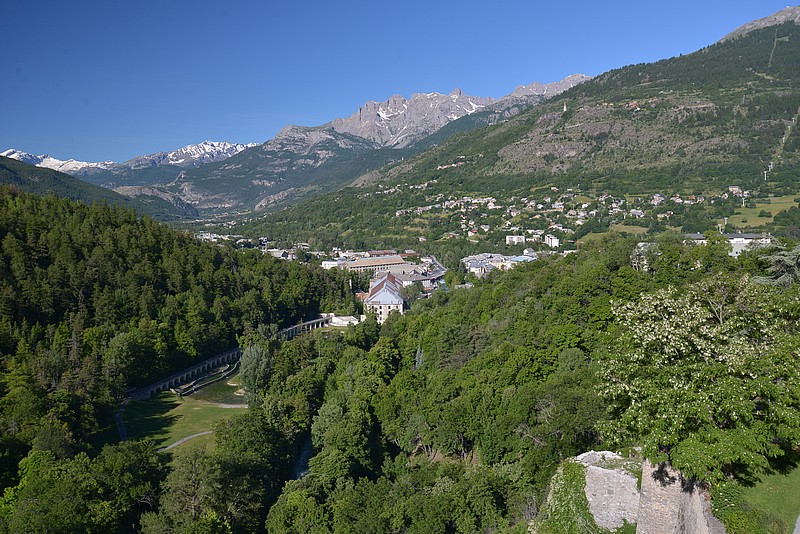 DSC_6482.JPG