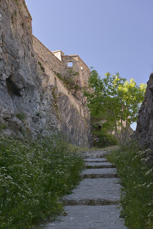 DSC_6514F.jpg
