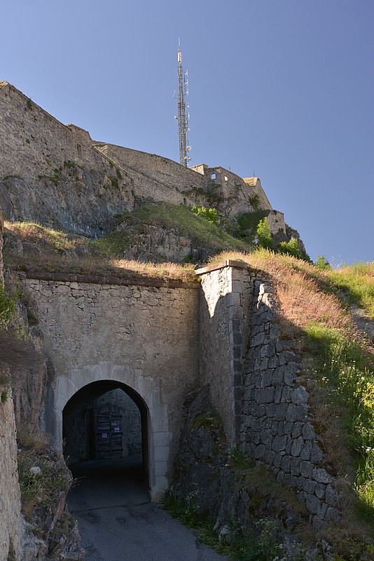 DSC_6526F.jpg
