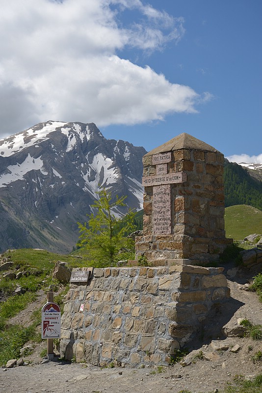 DSC_6601.JPG