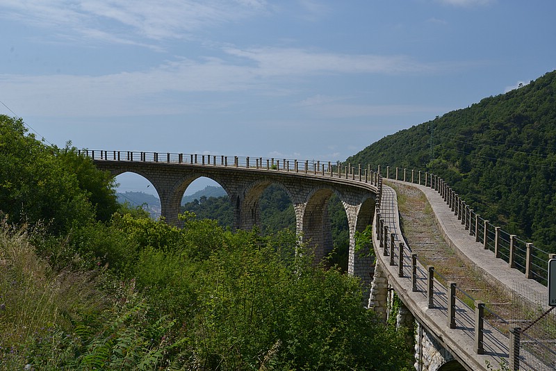 DSC_6886.JPG