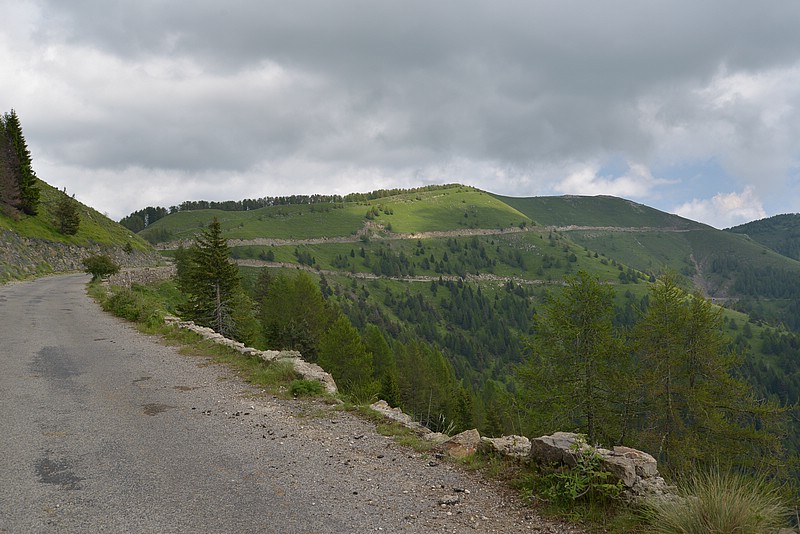 DSC_6964.JPG
