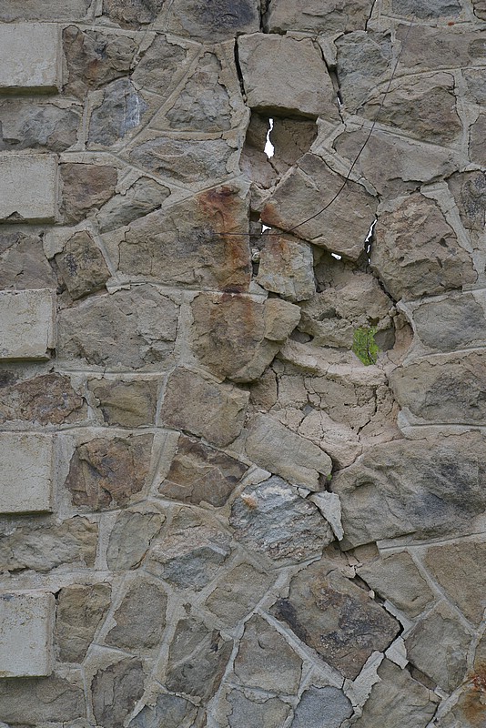 DSC_7003.JPG