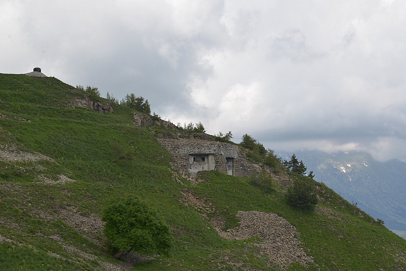 DSC_7022.JPG