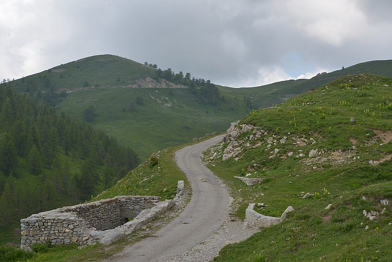 DSC_7026.JPG
