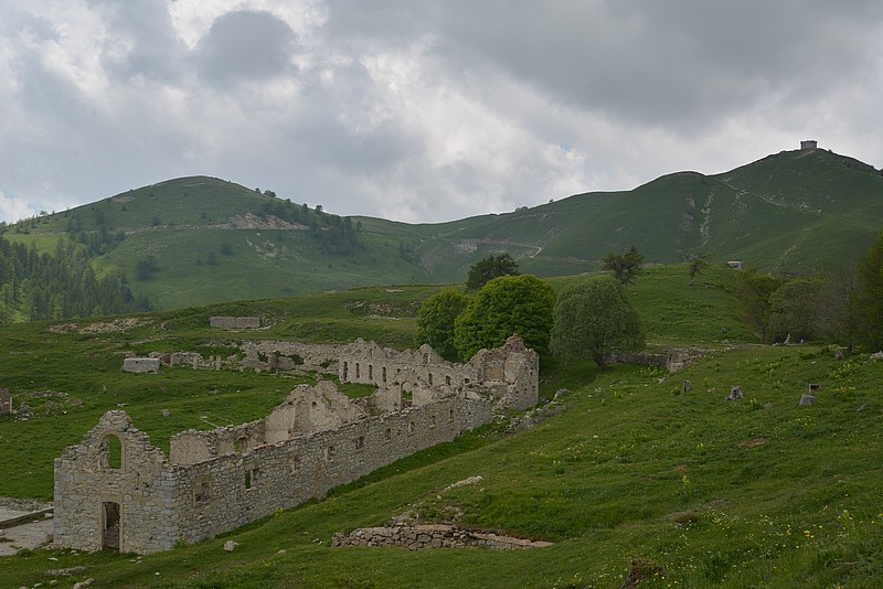 DSC_7037.JPG