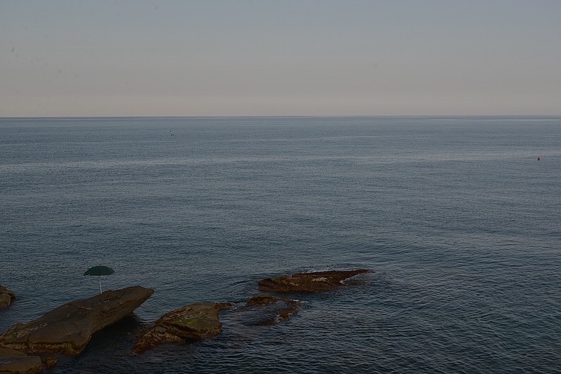 DSC_7100.JPG