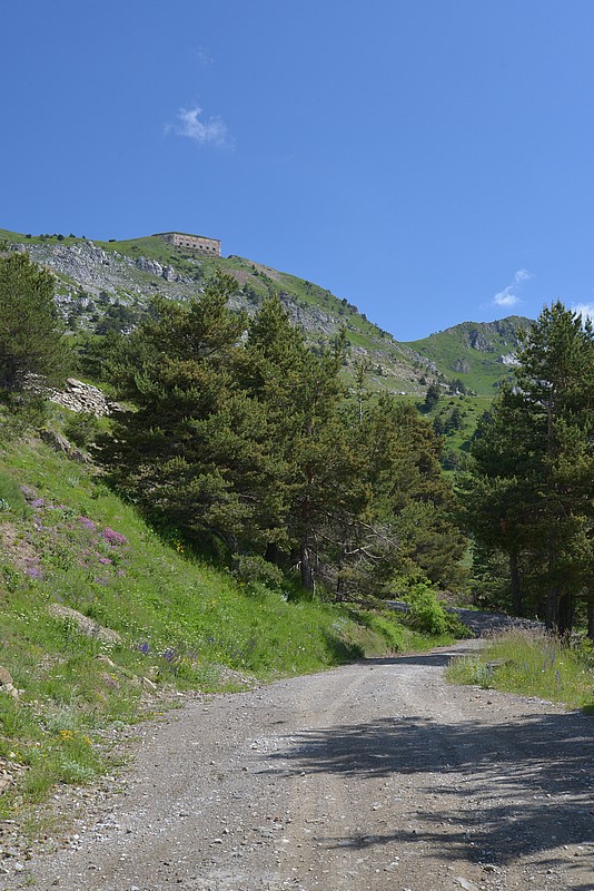 DSC_7161.JPG