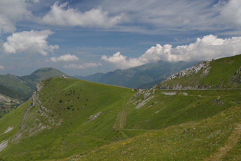 DSC_7186.JPG