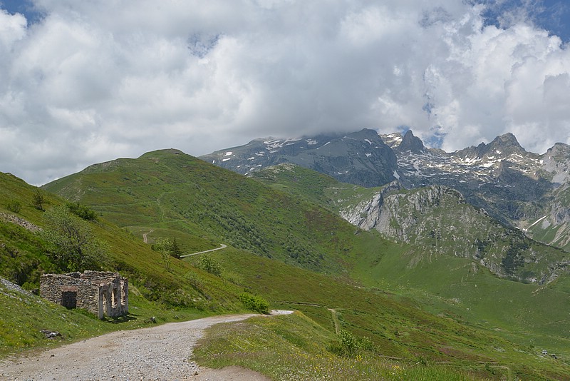 DSC_7230.JPG