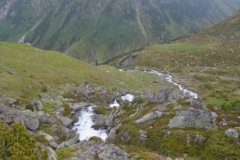 DSC_7382.JPG