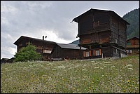 DSC_6205.JPG