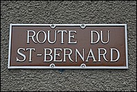DSC_6250D.jpg
