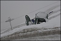 DSC_6305C.jpg