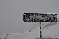 DSC_6309.JPG
