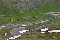 DSC_6333.JPG