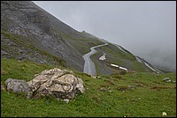 DSC_6414.JPG