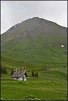 DSC_6436.JPG