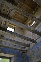 DSC_6717.JPG