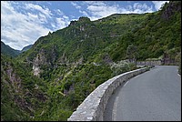 DSC_6761.JPG