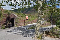 DSC_6846.JPG