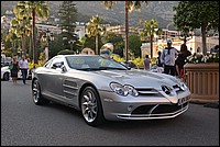 DSC_6874CF.jpg