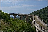 DSC_6886.JPG