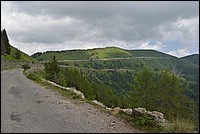 DSC_6964.JPG