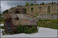 DSC_6982D.jpg