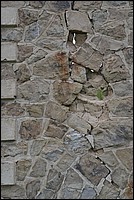 DSC_7003.JPG