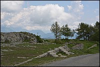 DSC_7020.JPG