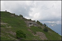 DSC_7022.JPG