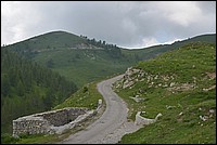 DSC_7026.JPG