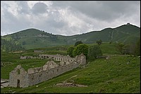 DSC_7037.JPG