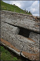 DSC_7039.JPG