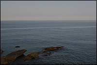 DSC_7100.JPG