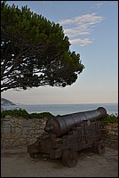 DSC_7110.JPG