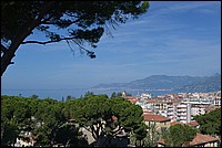 DSC_7153.JPG
