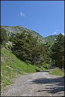 DSC_7161.JPG