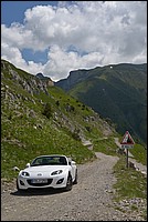 DSC_7181.JPG