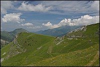 DSC_7186.JPG