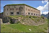 DSC_7207.JPG