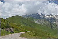 DSC_7230.JPG