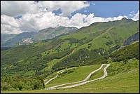 DSC_7242.JPG