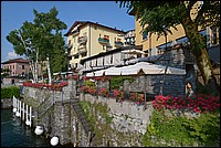DSC_7270.JPG