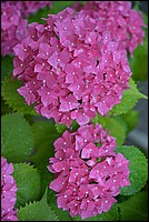 DSC_7275.JPG