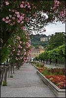 DSC_7314.JPG